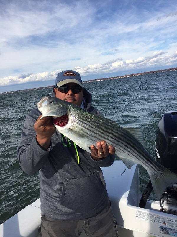 Striped Bass Fishing Trip 