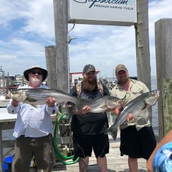 sandyhook fishing 19 20200613