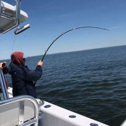 sandyhook fishing 5 20200613