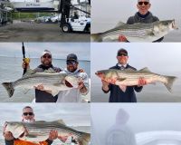 sandyhook fishing 60 20200613