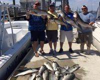 sandyhook fishing 66 20200613