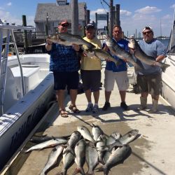 sandyhook fishing 66 20200613