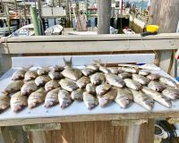 sandyhook fishing 78 20200613