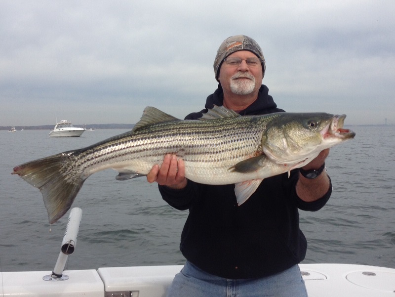 Striped Bass Fishing Charters Sandy Hook New Jersey | Bill Chaser Sandy ...